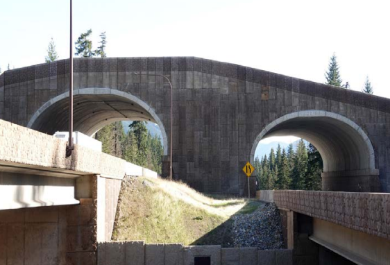 The wildlife bridge crossing on I-90 in Kittitas County